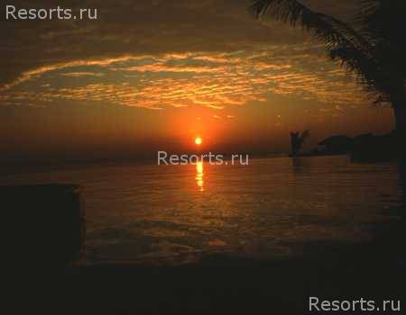 Filitheyo Island Resort 7